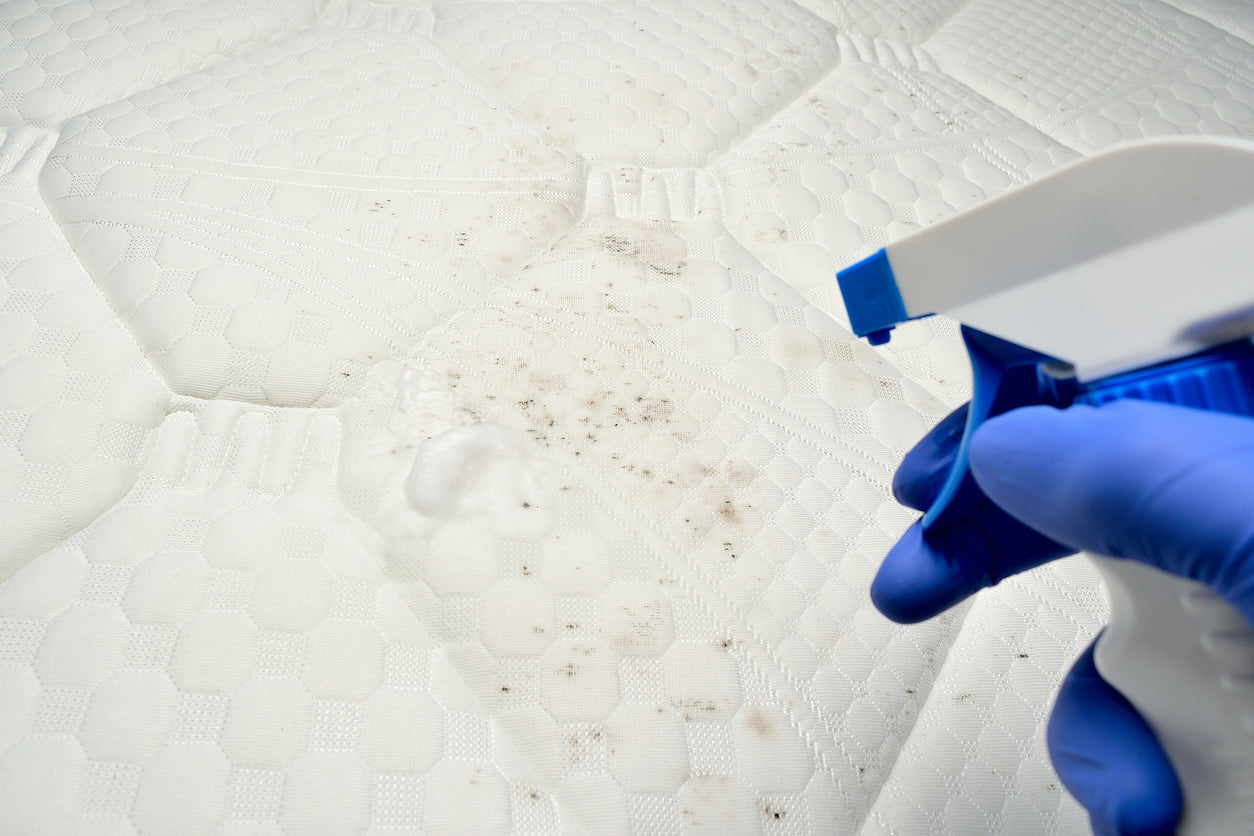 Easy To Follow Guide On How to Deodorise a Mattress