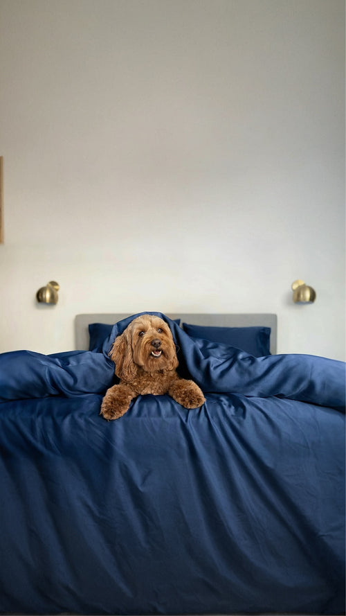 Bluey
