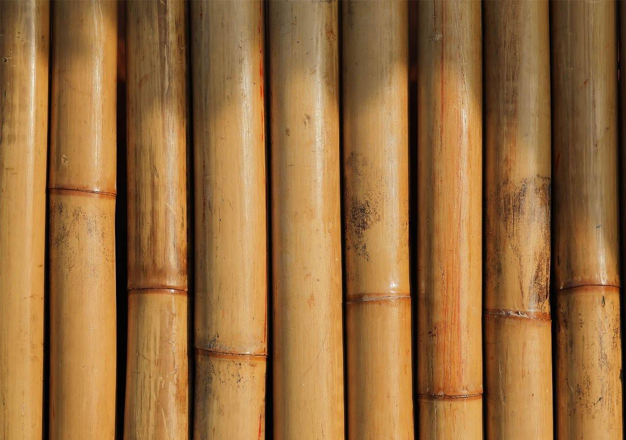 6 Smart Reasons Eco Consumers Choose Bamboo - Ecoy