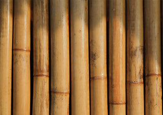 6 Smart Reasons Eco Consumers Choose Bamboo - Ecoy