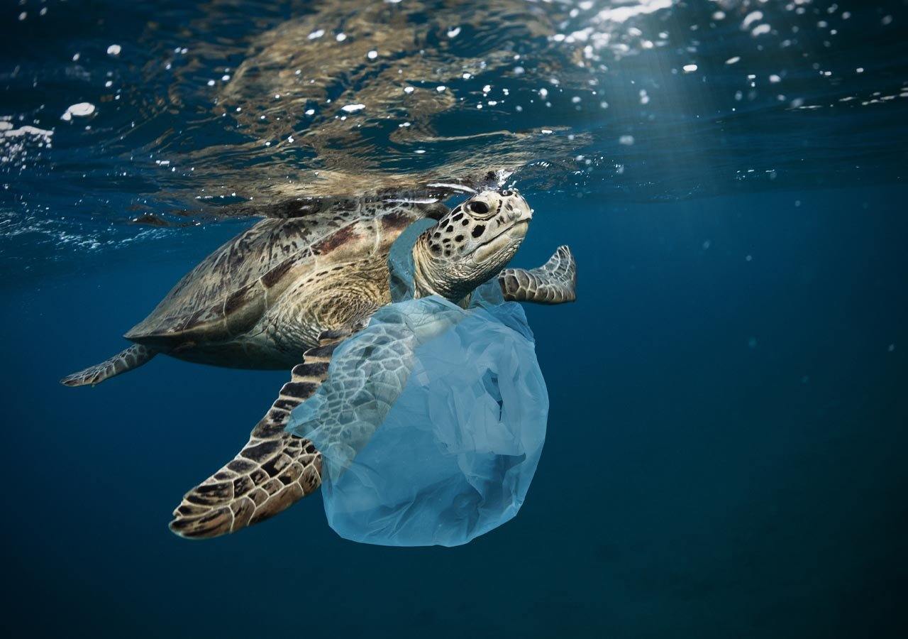 plastic-landfill