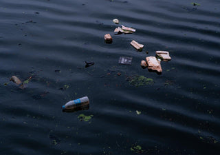 Your Plastic Toothbrush is Fuelling an Environmental Crisis - Ecoy