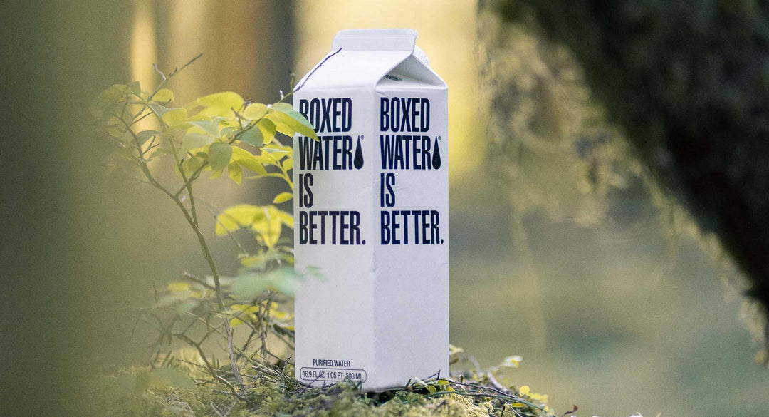 9 Surprising Plastic Products You Might Use Daily