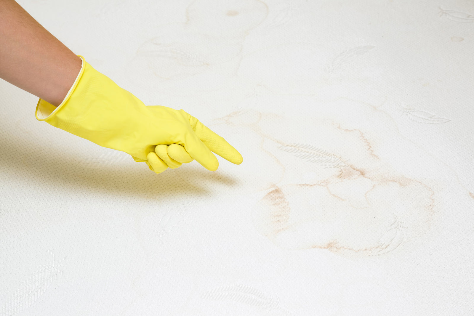 How to Get Cat Pee Smell Out of Mattress