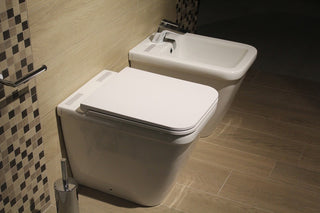 Toilet Paper vs Bidets - Which Is Greener?
