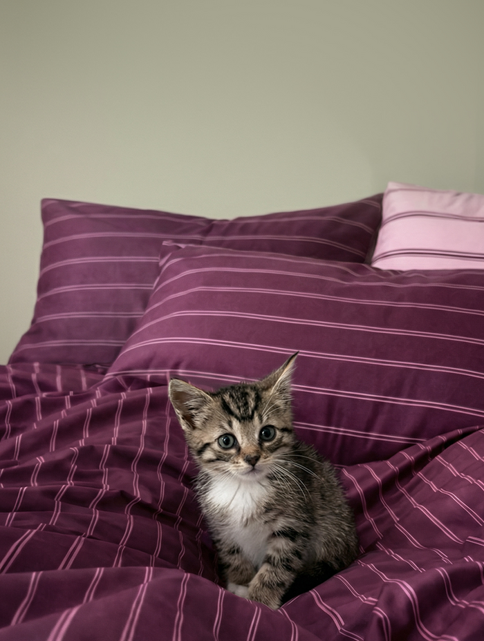 Cuddle without overheating