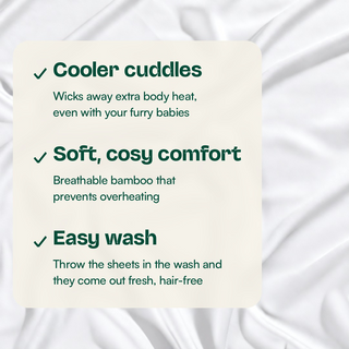 Fur-friendly Bamboo Flat Sheet in White, close-up