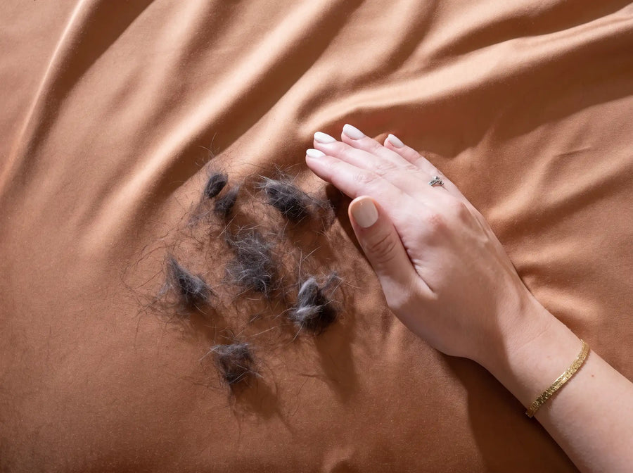 Cat fur on a bamboo bed sheet