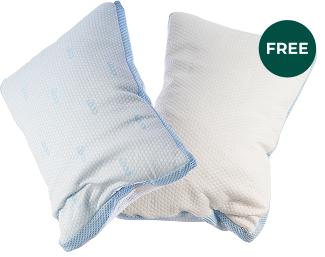 FREE 2 FLIP PILLOWS