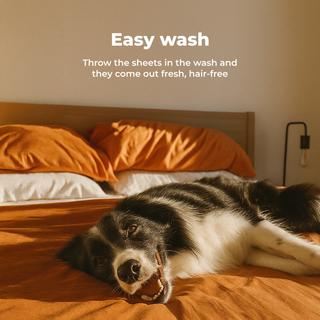 Pet-friendly Bamboo Sheet Set