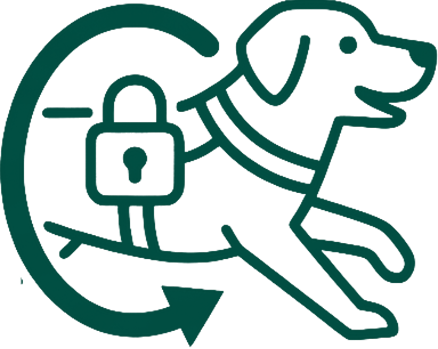 overview 4 icon