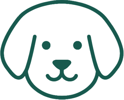 overview 1 icon