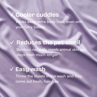 Fur-friendly Bamboo Sheet Set
