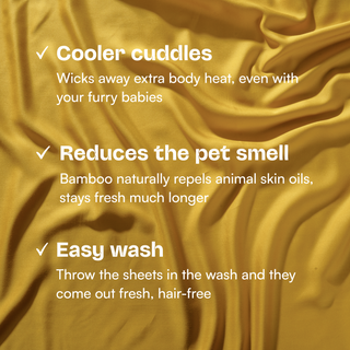 Fur-friendly Bamboo Sheet Set