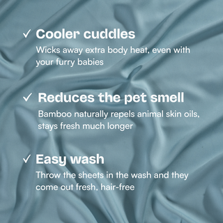 Fur-friendly Bamboo Sheet Set
