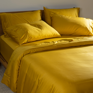 Fur-friendly Bamboo Quilt Cover Set