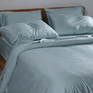 Fur-friendly Bamboo Quilt Cover Set