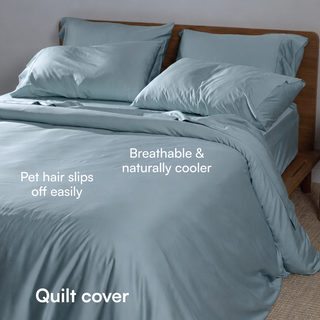 Fur-friendly Bamboo Quilt Cover Set