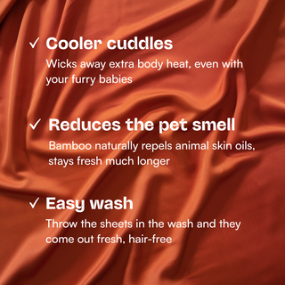 Fur-friendly Bamboo Sheet Set