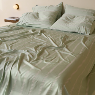 Fur-friendly Bamboo Flat Sheet