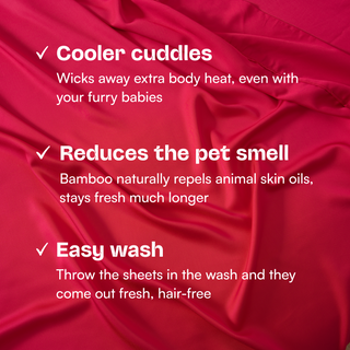 Fur-friendly Bamboo Sheet Set
