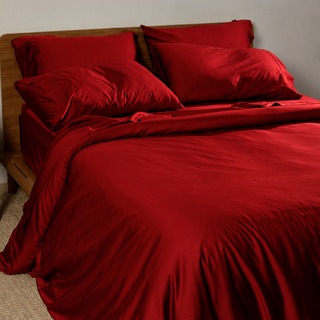 Fur-friendly Bamboo Quilt Cover Set