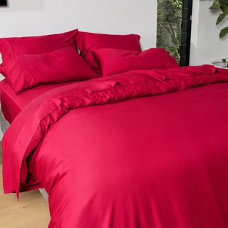 Fur-friendly Bamboo Quilt Cover Set
