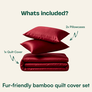 Fur-friendly Bamboo Quilt Cover Set