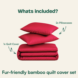 Fur-friendly Bamboo Quilt Cover Set