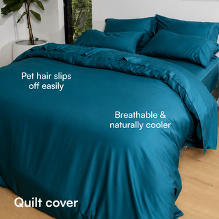 Fur-friendly Bamboo Quilt Cover Set
