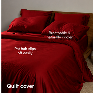 Fur-friendly Bamboo Quilt Cover Set