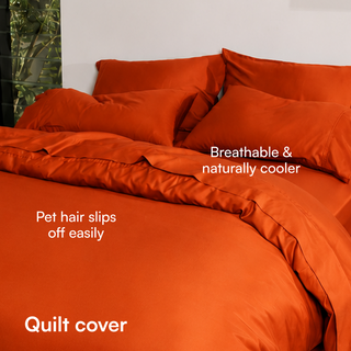 Fur-friendly Bamboo Quilt Cover Set