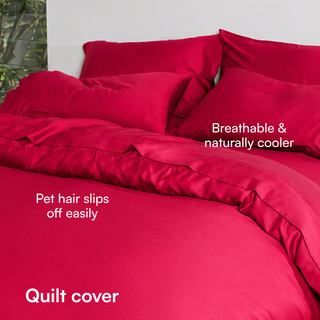 Fur-friendly Bamboo Quilt Cover Set