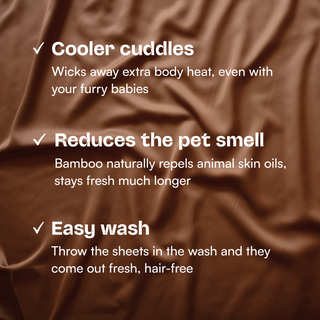 Fur-friendly Bamboo Sheet Set