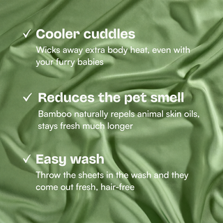 Fur-friendly Bamboo Sheet Set