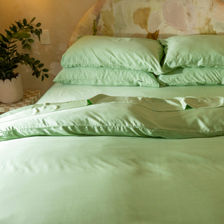 Fur-friendly Bamboo Quilt Cover Set