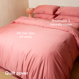 Fur-friendly Bamboo Quilt Cover Set
