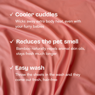 Fur-friendly Bamboo Quilt Cover Set