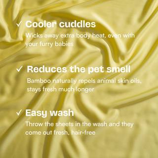 Fur-friendly Bamboo Pillowcase Set