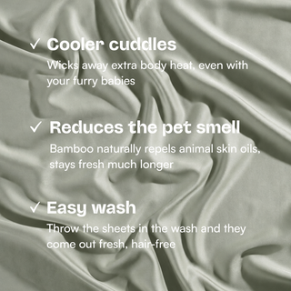 Fur-friendly Bamboo European Pillowcase Set