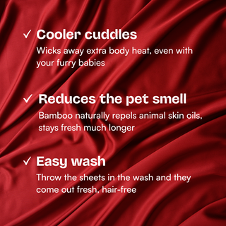 Fur-friendly Bamboo Quilt Cover Set