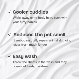 Fur-friendly Bamboo Pillowcase Set