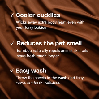 Fur-friendly Bamboo European Pillowcase Set