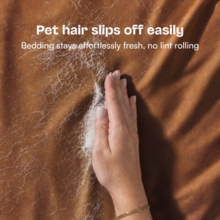 Fur-friendly Bamboo Quilt Cover Set