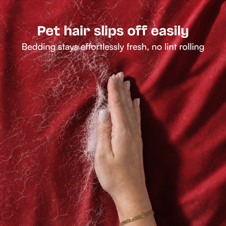 Fur-friendly Bamboo Sheet Set