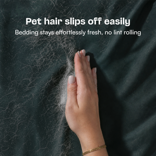 Fur-friendly Bamboo Sheet Set
