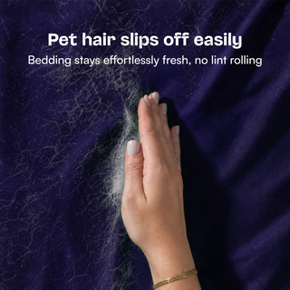 Fur-friendly Bamboo Sheet Set