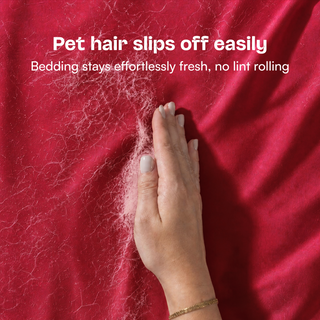 Fur-friendly Bamboo Sheet Set