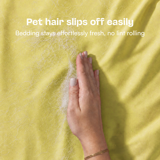 Fur-friendly Bamboo Sheet Set