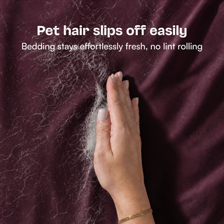 Fur-friendly Bamboo Sheet Set